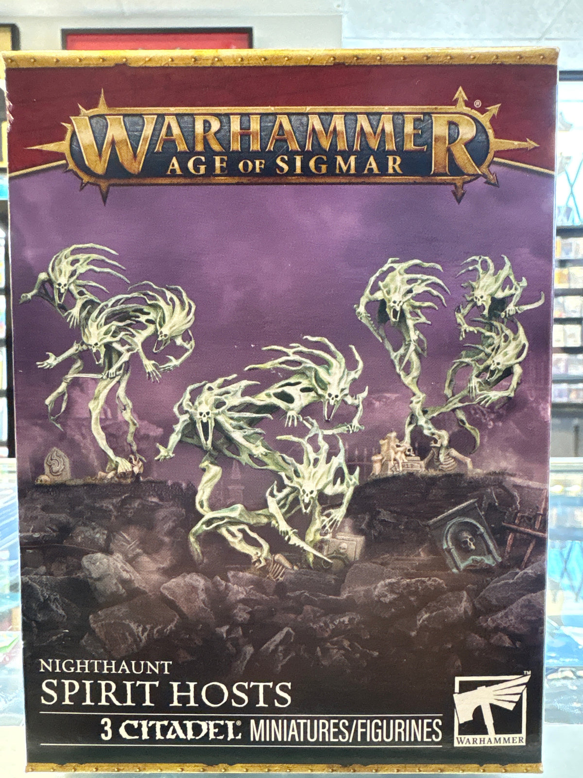 Warhammer Age of Sigmar Nighthaunt Spirit Hosts 3 Citadel