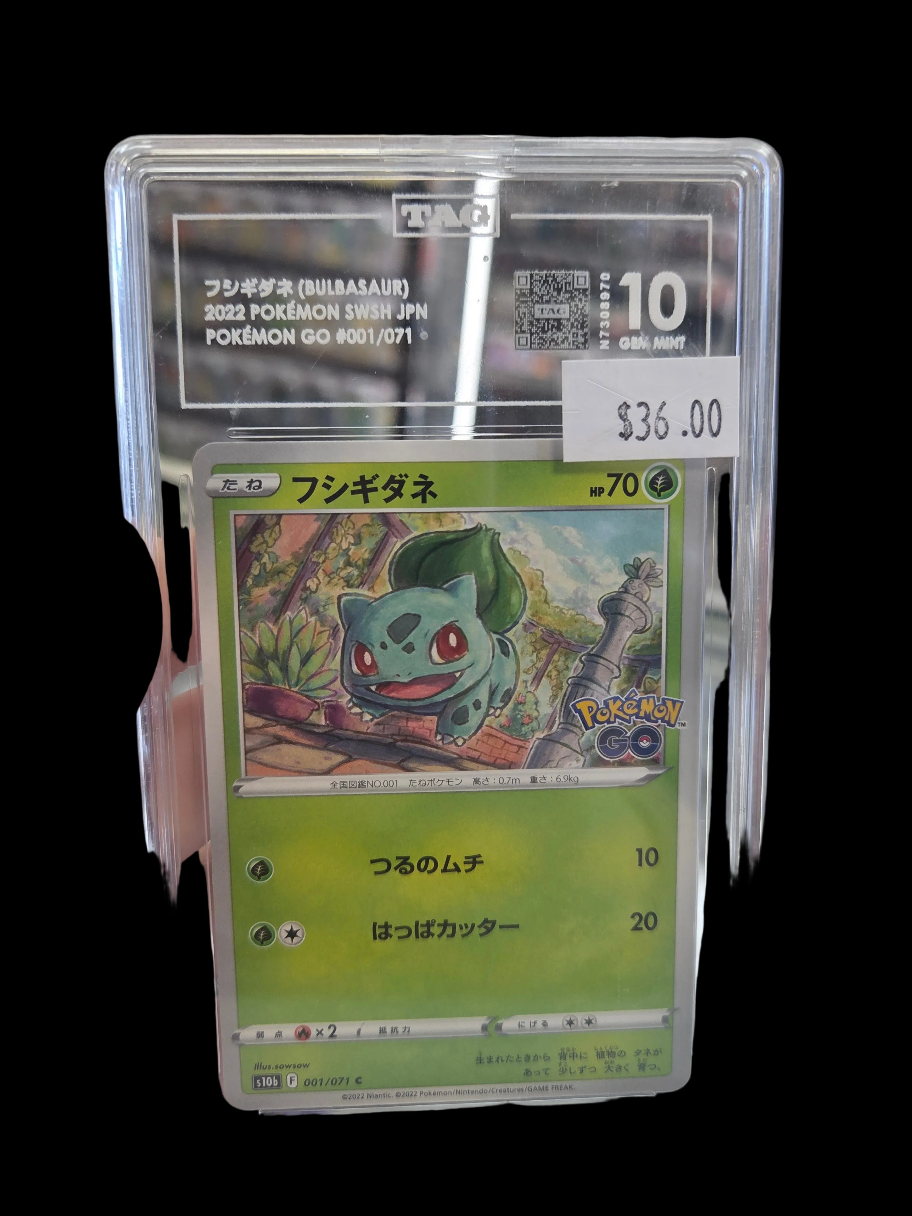 2022 Pokémon swsh jpn Pokémon go