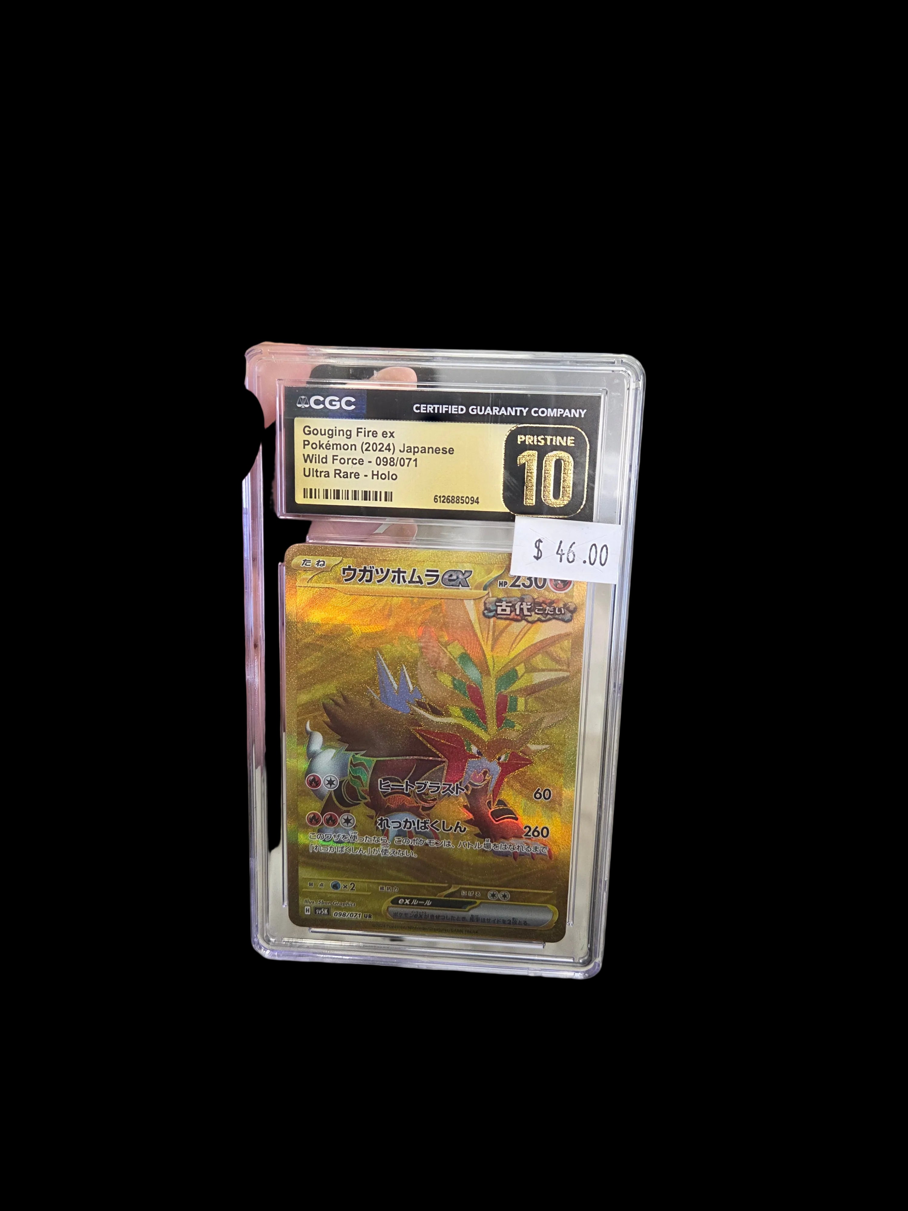 Pokémon (2024) Japanese wild force